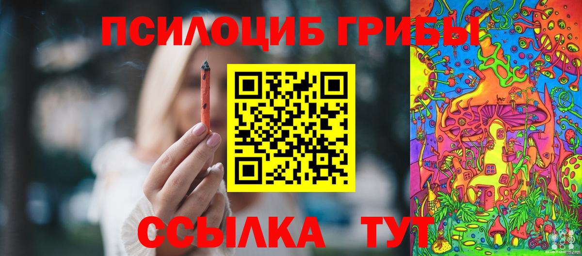 Галлюциногенные грибы Psilocybine cubensis Гуково